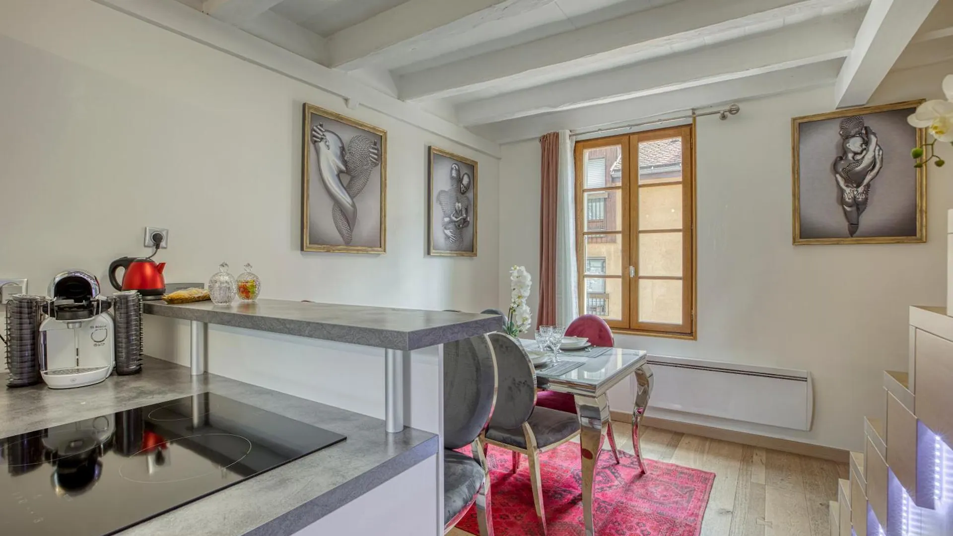 Passage Des Bains Apartment Annecy France